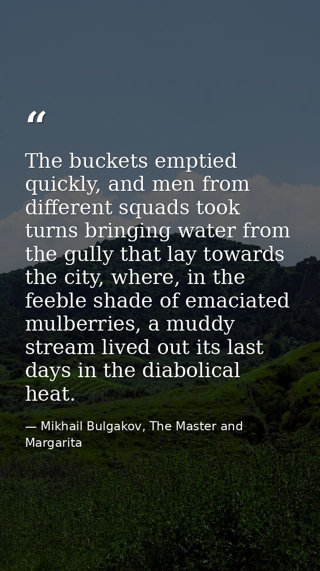 The buckets emptied quickly, and men from different squads took turns bringing water from the gully that lay towards the — Mikhail Bulgakov, The Master and Margarita