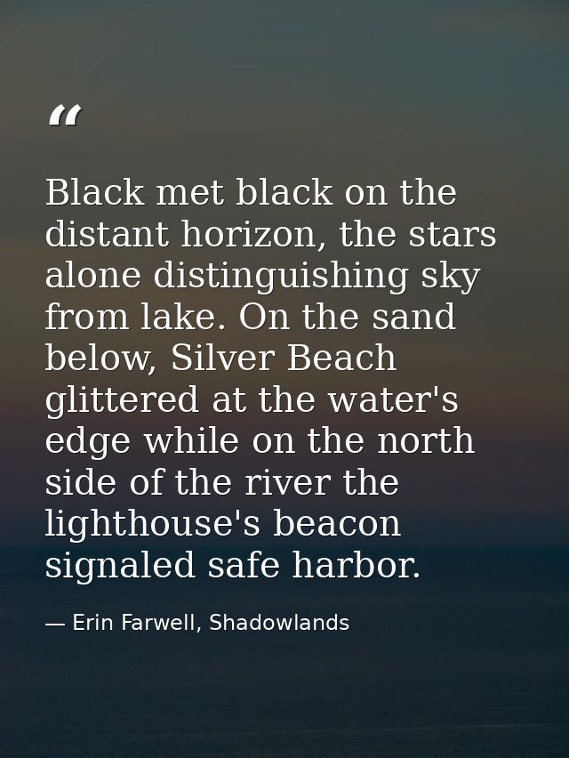 Black met black on the distant horizon, the stars alone distinguishing sky from lake. On the sand below, Silver Beach gl — Erin Farwell, Shadowlands