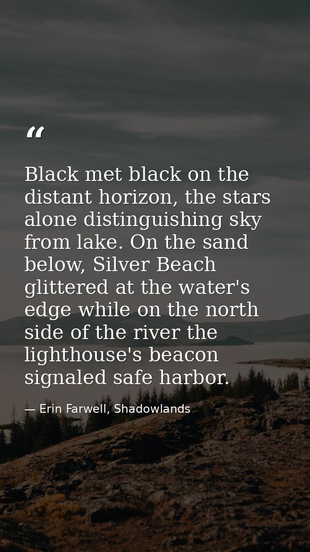 Black met black on the distant horizon, the stars alone distinguishing sky from lake. On the sand below, Silver Beach gl — Erin Farwell, Shadowlands