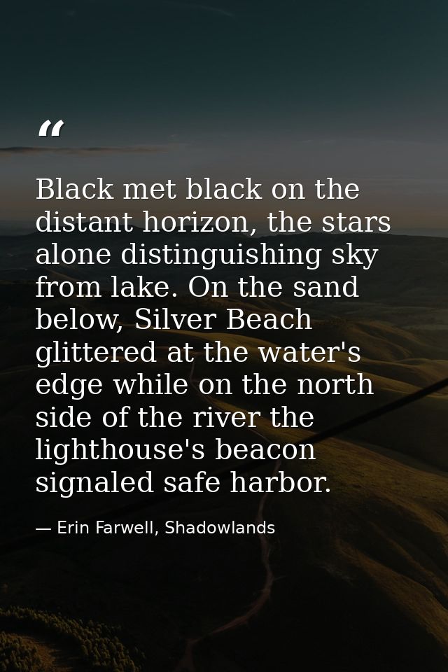 Black met black on the distant horizon, the stars alone distinguishing sky from lake. On the sand below, Silver Beach gl — Erin Farwell, Shadowlands