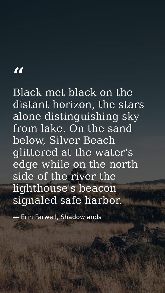 Black met black on the distant horizon, the stars alone distinguishing sky from lake. On the sand below, Silver Beach gl — Erin Farwell, Shadowlands