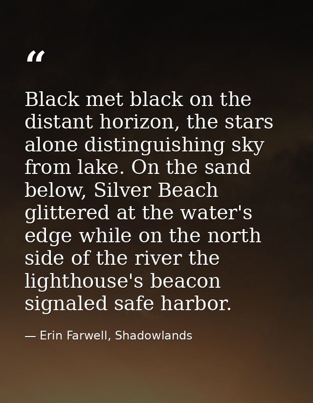 Black met black on the distant horizon, the stars alone distinguishing sky from lake. On the sand below, Silver Beach gl — Erin Farwell, Shadowlands