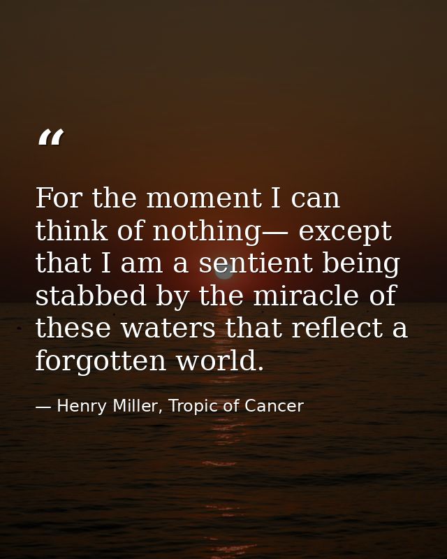 For the moment I can think of nothing— except that I am a sentient being stabbed by the miracle of these waters that ref — Henry Miller, Tropic of Cancer