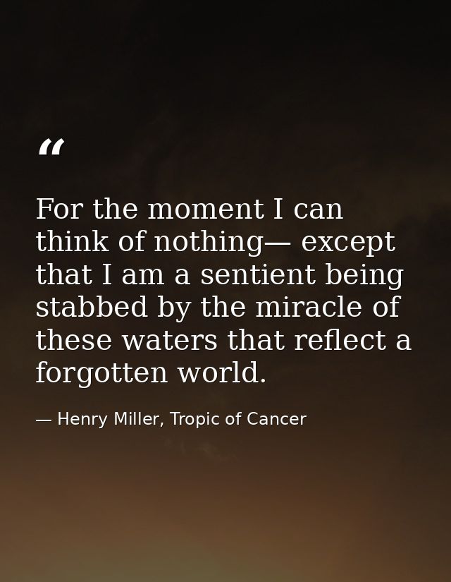 For the moment I can think of nothing— except that I am a sentient being stabbed by the miracle of these waters that ref — Henry Miller, Tropic of Cancer
