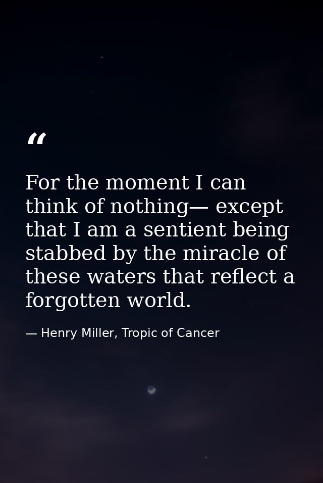 For the moment I can think of nothing— except that I am a sentient being stabbed by the miracle of these waters that ref — Henry Miller, Tropic of Cancer
