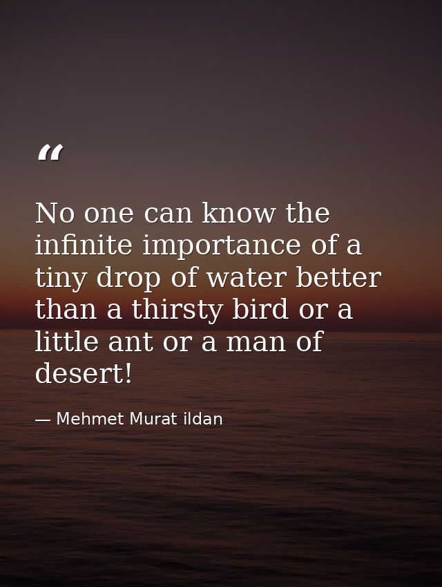 No one can know the infinite importance of a tiny drop of water better than a thirsty bird or a little ant or a man of d — Mehmet Murat ildan