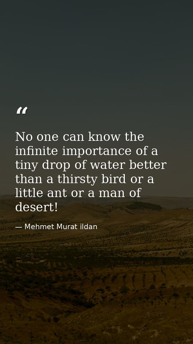 No one can know the infinite importance of a tiny drop of water better than a thirsty bird or a little ant or a man of d — Mehmet Murat ildan