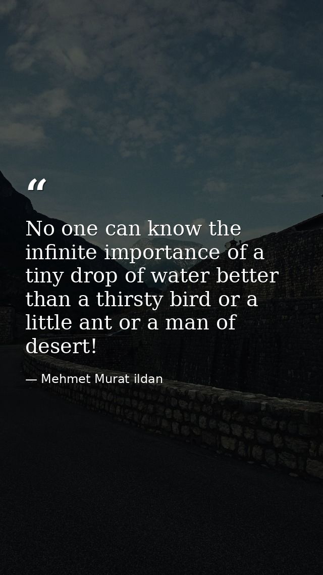 No one can know the infinite importance of a tiny drop of water better than a thirsty bird or a little ant or a man of d — Mehmet Murat ildan