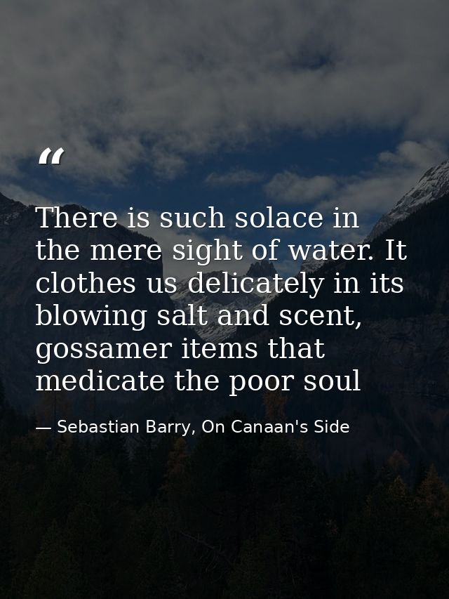 There is such solace in the mere sight of water. It clothes us delicately in its blowing salt and scent, gossamer items  — Sebastian Barry, On Canaan's Side