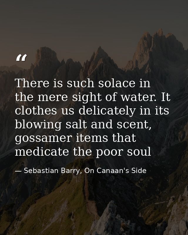 There is such solace in the mere sight of water. It clothes us delicately in its blowing salt and scent, gossamer items  — Sebastian Barry, On Canaan's Side