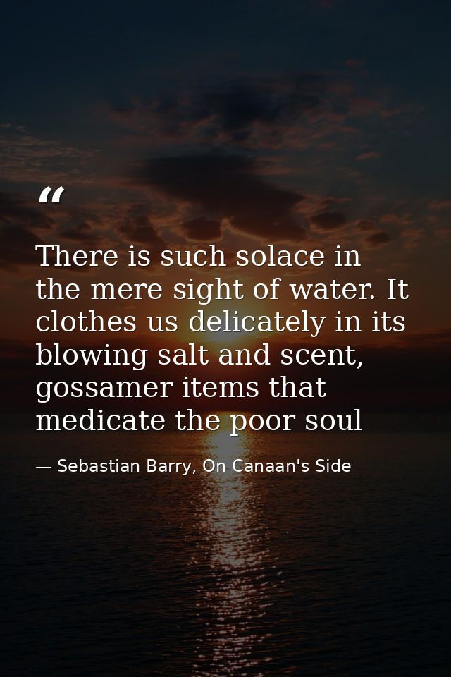 There is such solace in the mere sight of water. It clothes us delicately in its blowing salt and scent, gossamer items  — Sebastian Barry, On Canaan's Side