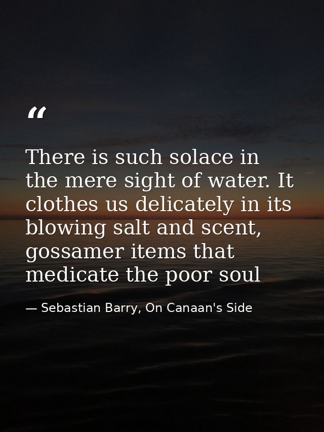 There is such solace in the mere sight of water. It clothes us delicately in its blowing salt and scent, gossamer items  — Sebastian Barry, On Canaan's Side