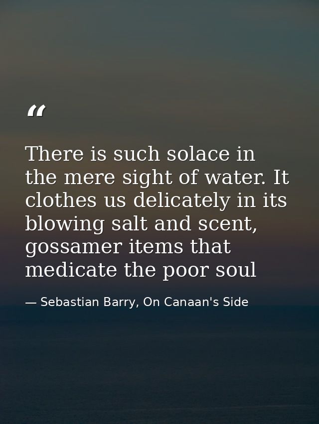 There is such solace in the mere sight of water. It clothes us delicately in its blowing salt and scent, gossamer items  — Sebastian Barry, On Canaan's Side