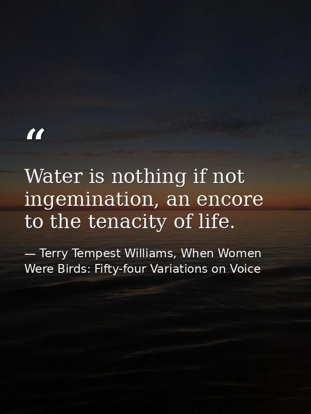 Water is nothing if not ingemination, an encore to the tenacity of life. — Terry Tempest Williams, When Women Were Birds: Fifty-four Variations on Voice