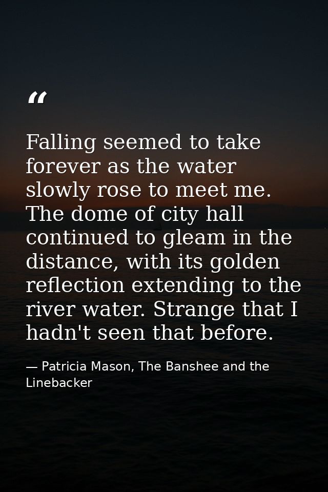 Falling seemed to take forever as the water slowly rose to meet me. The dome of city hall continued to gleam in the dist — Patricia Mason, The Banshee and the Linebacker