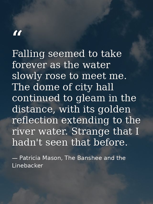 Falling seemed to take forever as the water slowly rose to meet me. The dome of city hall continued to gleam in the dist — Patricia Mason, The Banshee and the Linebacker