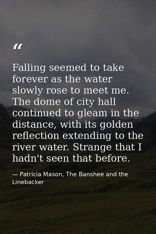 Falling seemed to take forever as the water slowly rose to meet me. The dome of city hall continued to gleam in the dist — Patricia Mason, The Banshee and the Linebacker