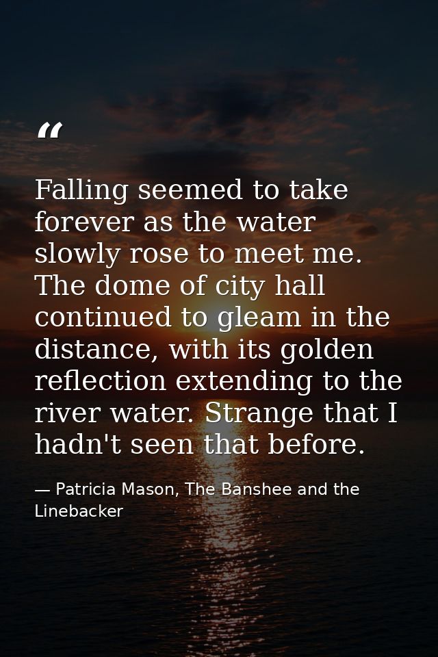 Falling seemed to take forever as the water slowly rose to meet me. The dome of city hall continued to gleam in the dist — Patricia Mason, The Banshee and the Linebacker