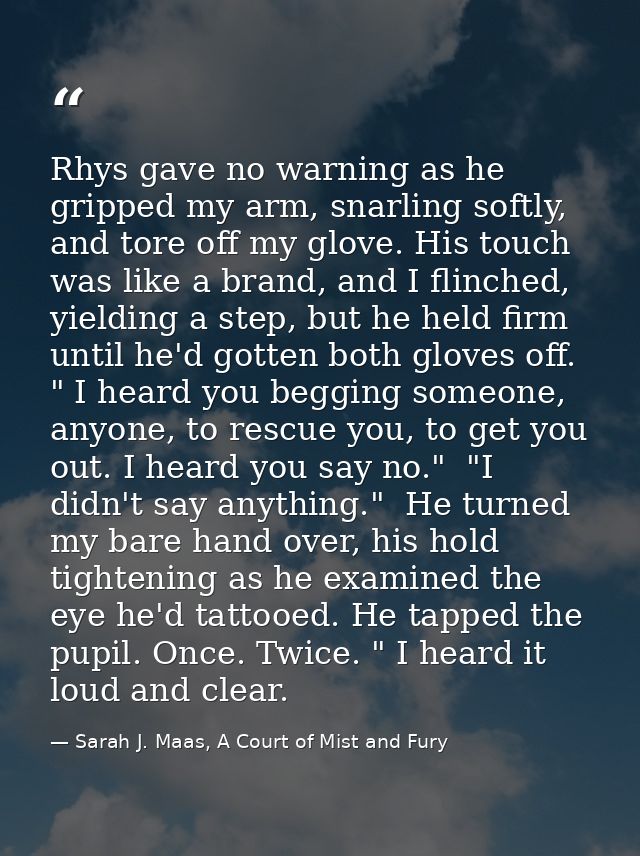 Rhys gave no warning as he gripped my arm, snarling softly, and tore off my glove. His touch was like a brand, and I fli — Sarah J. Maas, A Court of Mist and Fury