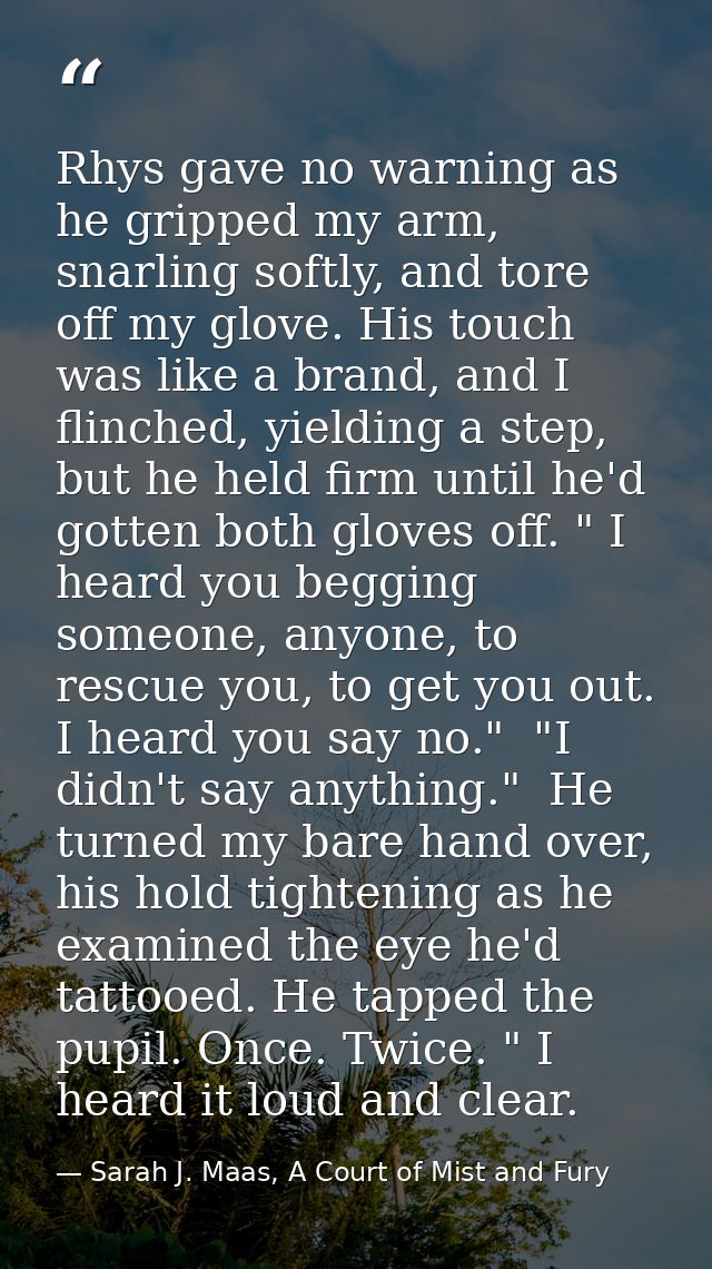 Rhys gave no warning as he gripped my arm, snarling softly, and tore off my glove. His touch was like a brand, and I fli — Sarah J. Maas, A Court of Mist and Fury