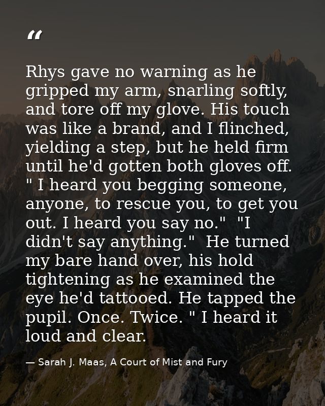 Rhys gave no warning as he gripped my arm, snarling softly, and tore off my glove. His touch was like a brand, and I fli — Sarah J. Maas, A Court of Mist and Fury