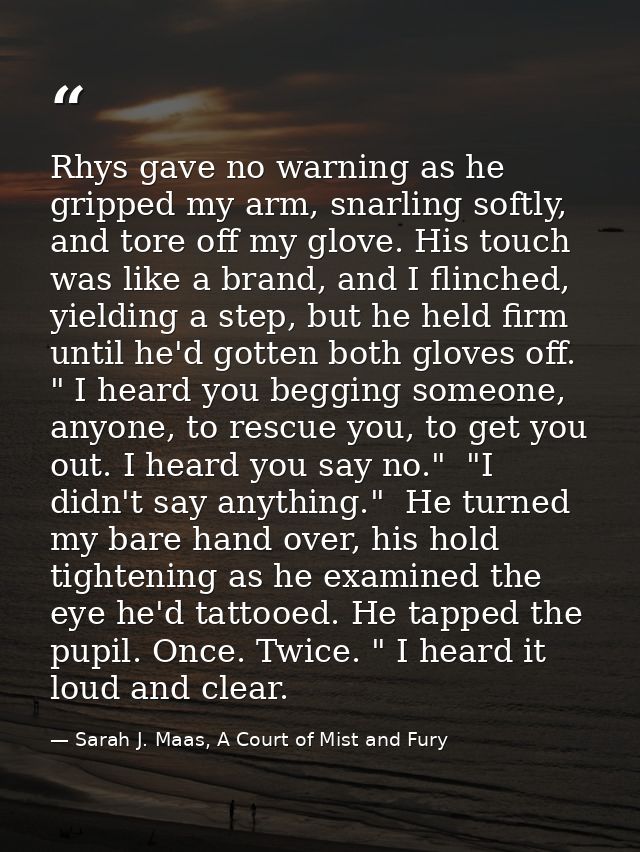 Rhys gave no warning as he gripped my arm, snarling softly, and tore off my glove. His touch was like a brand, and I fli — Sarah J. Maas, A Court of Mist and Fury