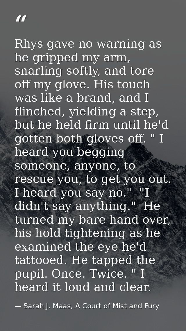 Rhys gave no warning as he gripped my arm, snarling softly, and tore off my glove. His touch was like a brand, and I fli — Sarah J. Maas, A Court of Mist and Fury