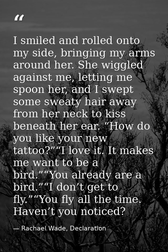 I smiled and rolled onto my side, bringing my arms around her. She wiggled against me, letting me spoon her, and I swept — Rachael Wade, Declaration