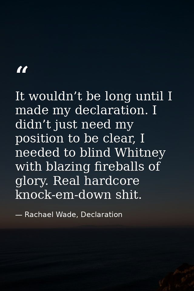 It wouldn’t be long until I made my declaration. I didn’t just need my position to be clear, I needed to blind Whitney w — Rachael Wade, Declaration