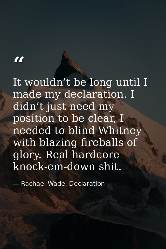 It wouldn’t be long until I made my declaration. I didn’t just need my position to be clear, I needed to blind Whitney w — Rachael Wade, Declaration