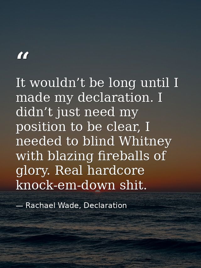 It wouldn’t be long until I made my declaration. I didn’t just need my position to be clear, I needed to blind Whitney w — Rachael Wade, Declaration
