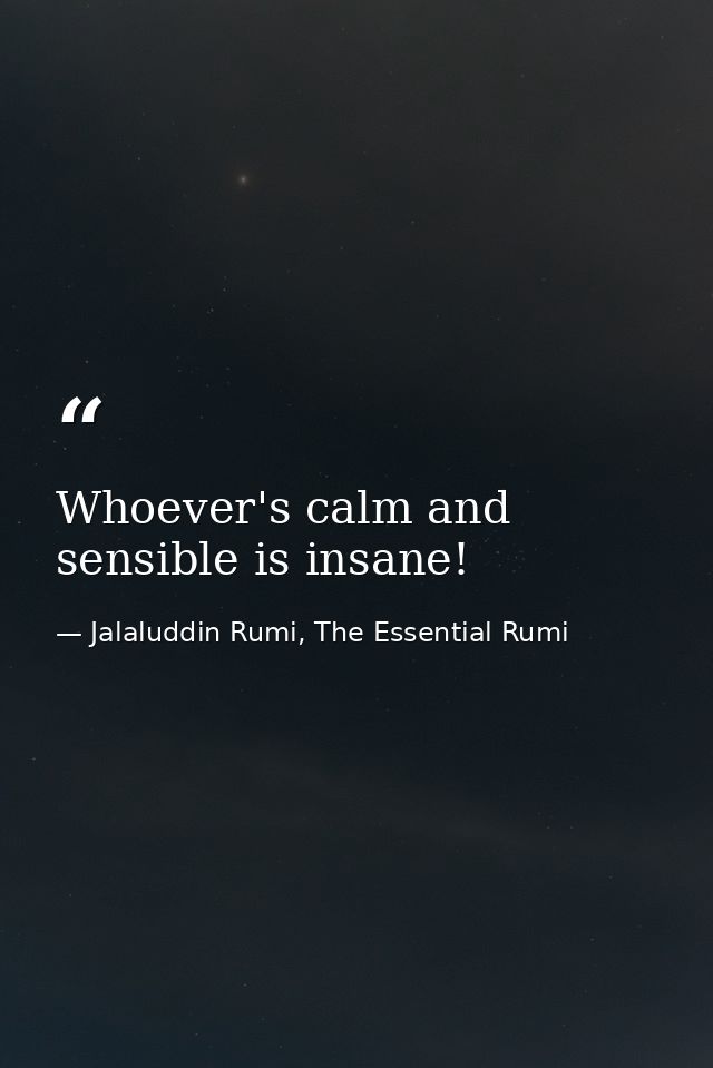 Whoever's calm and sensible is insane! — Jalaluddin Rumi, The Essential Rumi