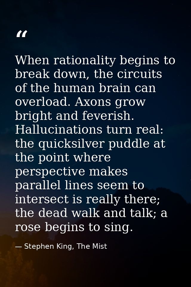When rationality begins to break down, the circuits of the human brain can overload. Axons grow bright and feverish. Hal — Stephen King, The Mist