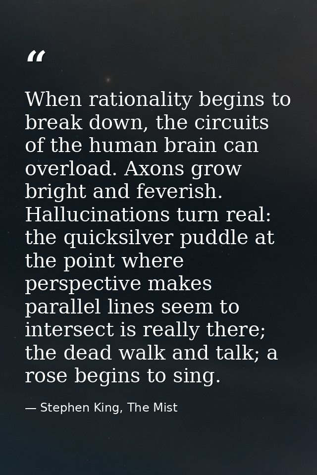 When rationality begins to break down, the circuits of the human brain can overload. Axons grow bright and feverish. Hal — Stephen King, The Mist