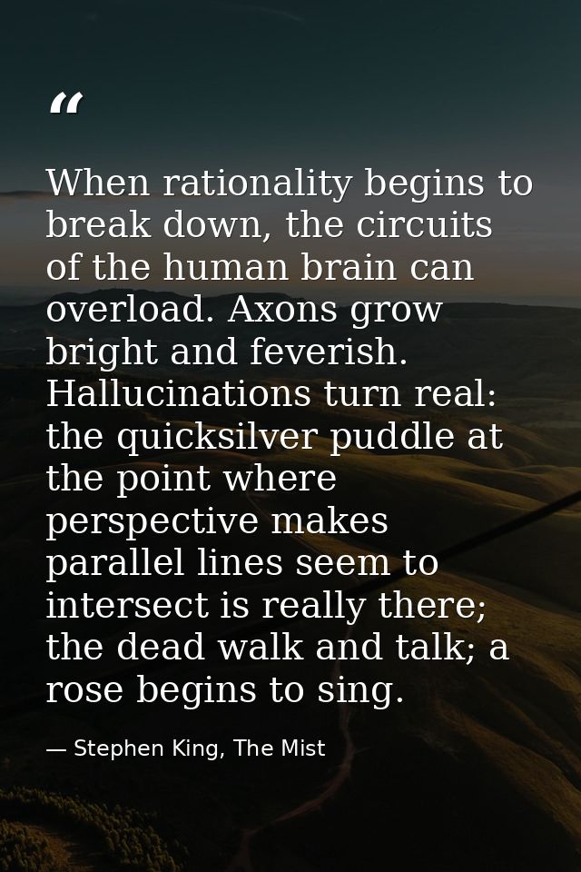 When rationality begins to break down, the circuits of the human brain can overload. Axons grow bright and feverish. Hal — Stephen King, The Mist
