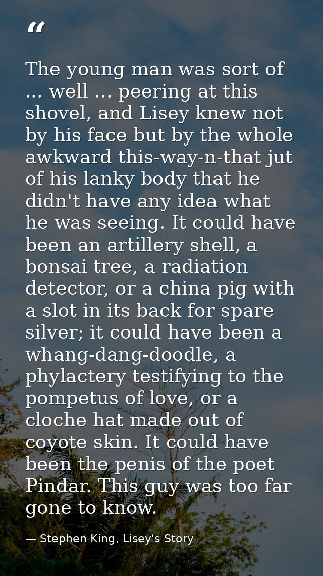 The young man was sort of ... well ... peering at this shovel, and Lisey knew not by his face but by the whole awkward t — Stephen King, Lisey's Story