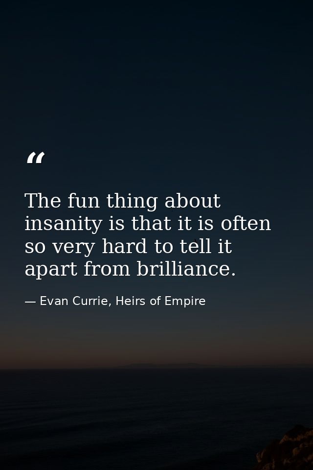The fun thing about insanity is that it is often so very hard to tell it apart from brilliance. — Evan Currie, Heirs of Empire