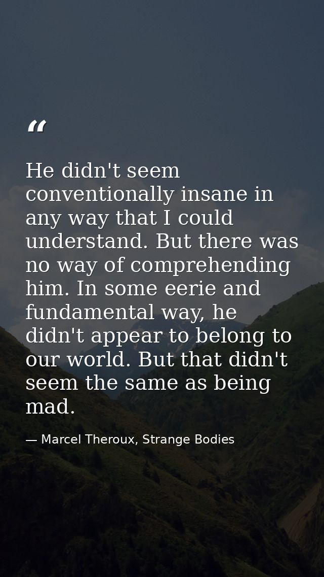 He didn't seem conventionally insane in any way that I could understand. But there was no way of comprehending him. In s — Marcel Theroux, Strange Bodies