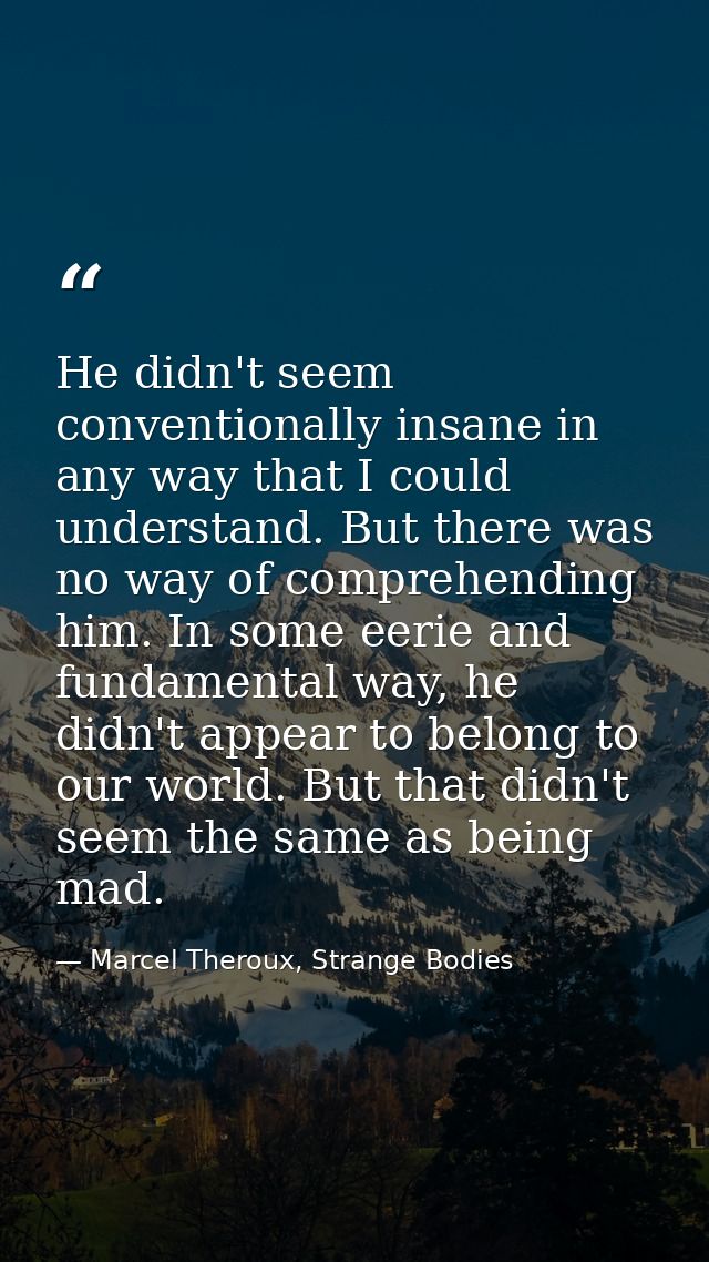He didn't seem conventionally insane in any way that I could understand. But there was no way of comprehending him. In s — Marcel Theroux, Strange Bodies