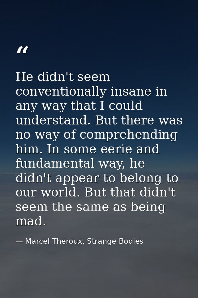 He didn't seem conventionally insane in any way that I could understand. But there was no way of comprehending him. In s — Marcel Theroux, Strange Bodies