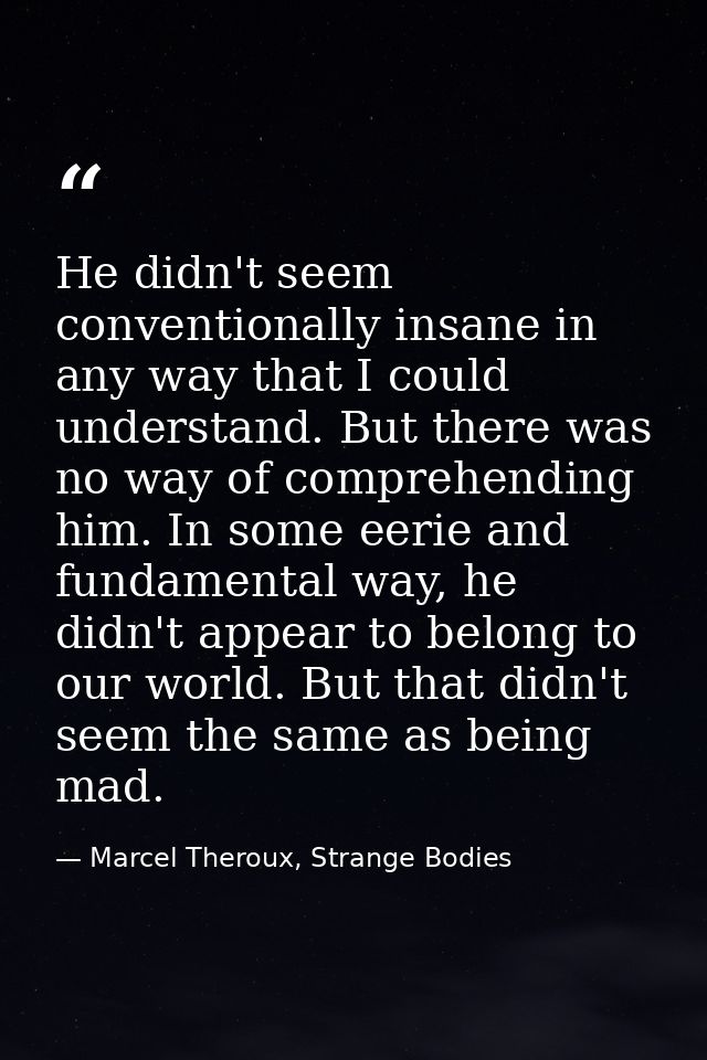 He didn't seem conventionally insane in any way that I could understand. But there was no way of comprehending him. In s — Marcel Theroux, Strange Bodies
