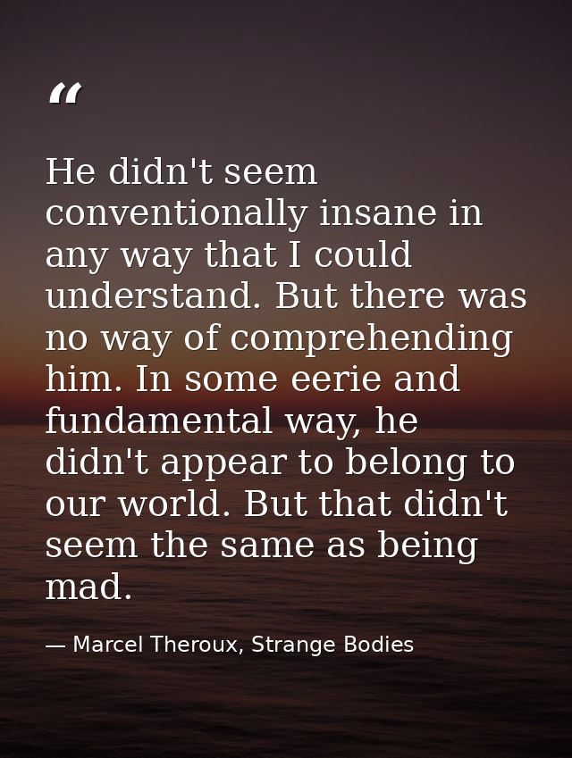 He didn't seem conventionally insane in any way that I could understand. But there was no way of comprehending him. In s — Marcel Theroux, Strange Bodies