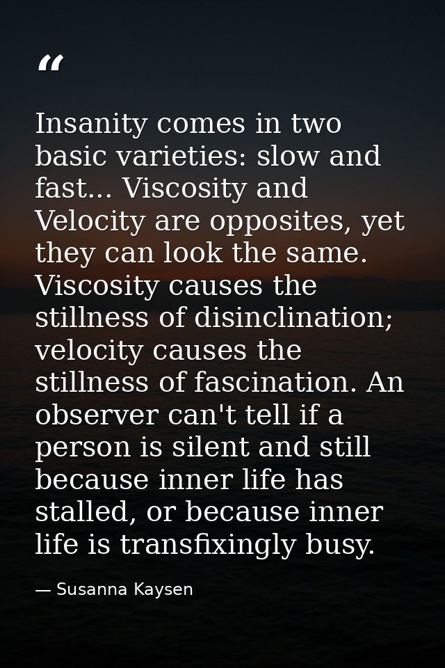 Insanity comes in two basic varieties: slow and fast... Viscosity and Velocity are opposites, yet they can look the same — Susanna Kaysen