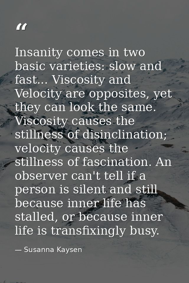 Insanity comes in two basic varieties: slow and fast... Viscosity and Velocity are opposites, yet they can look the same — Susanna Kaysen