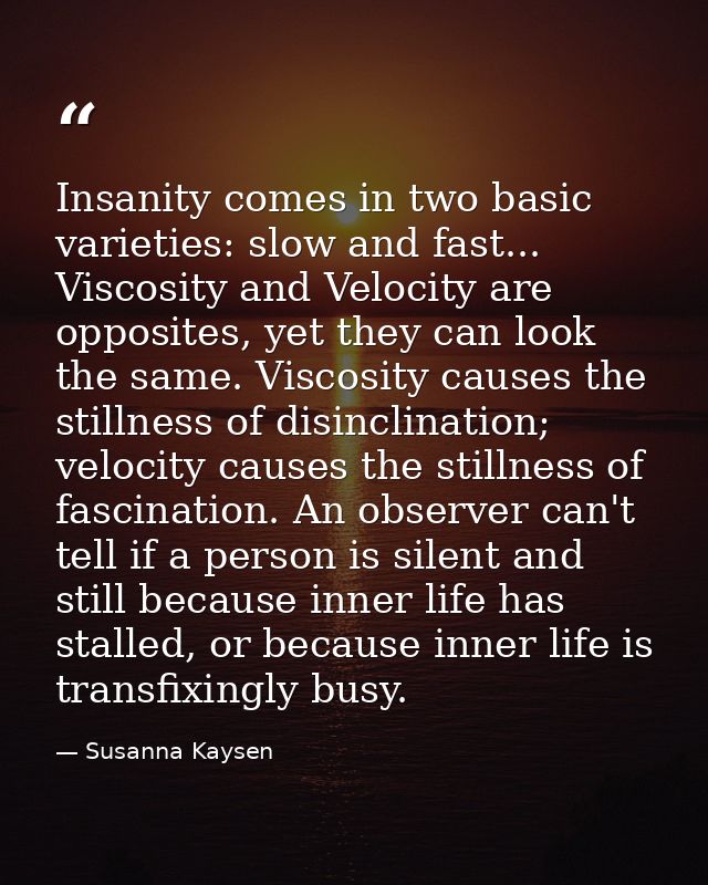 Insanity comes in two basic varieties: slow and fast... Viscosity and Velocity are opposites, yet they can look the same — Susanna Kaysen