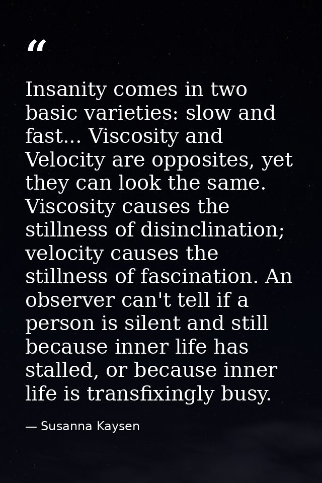 Insanity comes in two basic varieties: slow and fast... Viscosity and Velocity are opposites, yet they can look the same — Susanna Kaysen