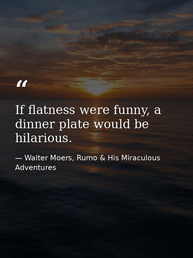 If flatness were funny, a dinner plate would be hilarious. — Walter Moers, Rumo & His Miraculous Adventures