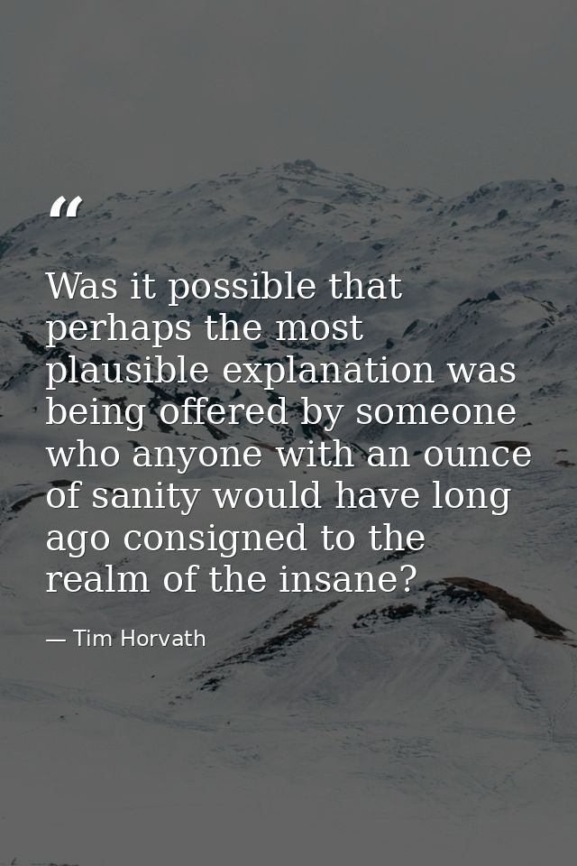 Was it possible that perhaps the most plausible explanation was being offered by someone who anyone with an ounce of san — Tim Horvath