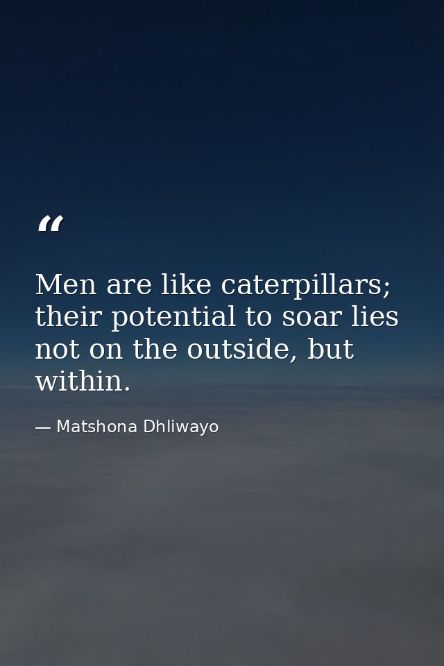 Men are like caterpillars; their potential to soar lies not on the outside, but within. — Matshona Dhliwayo