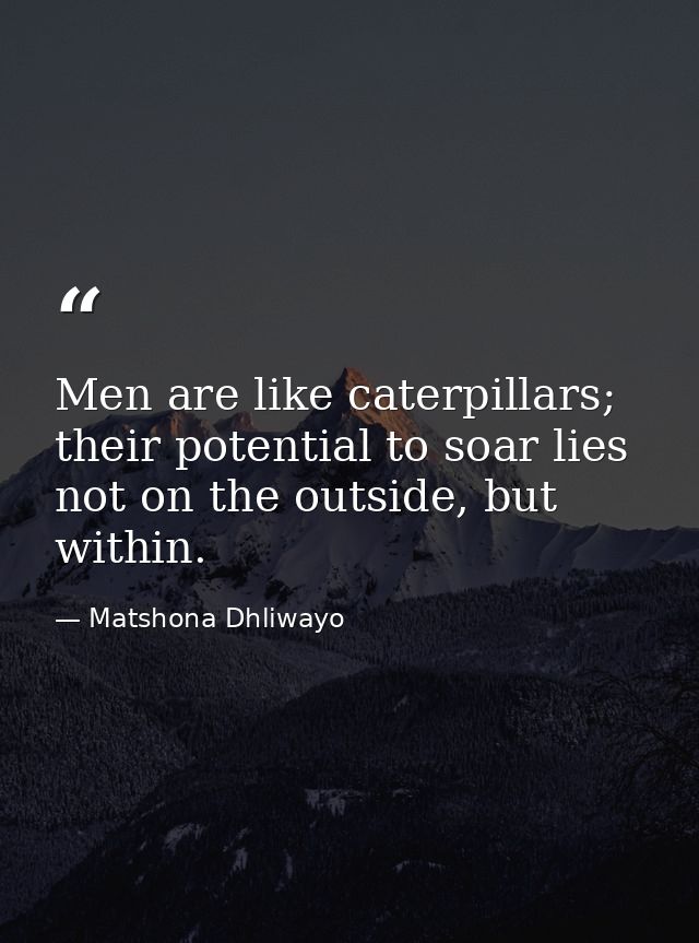 Men are like caterpillars; their potential to soar lies not on the outside, but within. — Matshona Dhliwayo